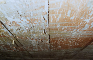 Restaurierung-Drott - Raben